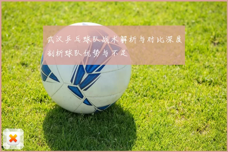 武汉乒乓球队战术解析与对比深度剖析球队优势与不足