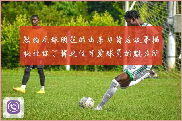 憨狗足球明星的由来与背后故事揭秘让你了解这位可爱球员的魅力所在
